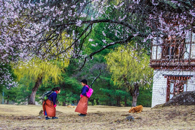 Spring in Bhutan
